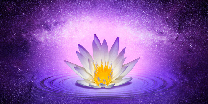 Buddhist Lotus Flower