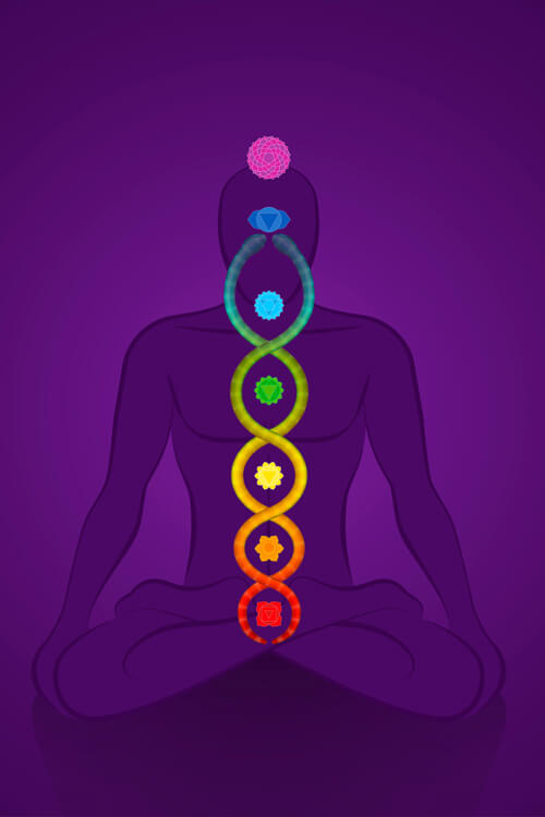 Kundalini Coiled Snake Chakras Yoga Meditation Man Purple